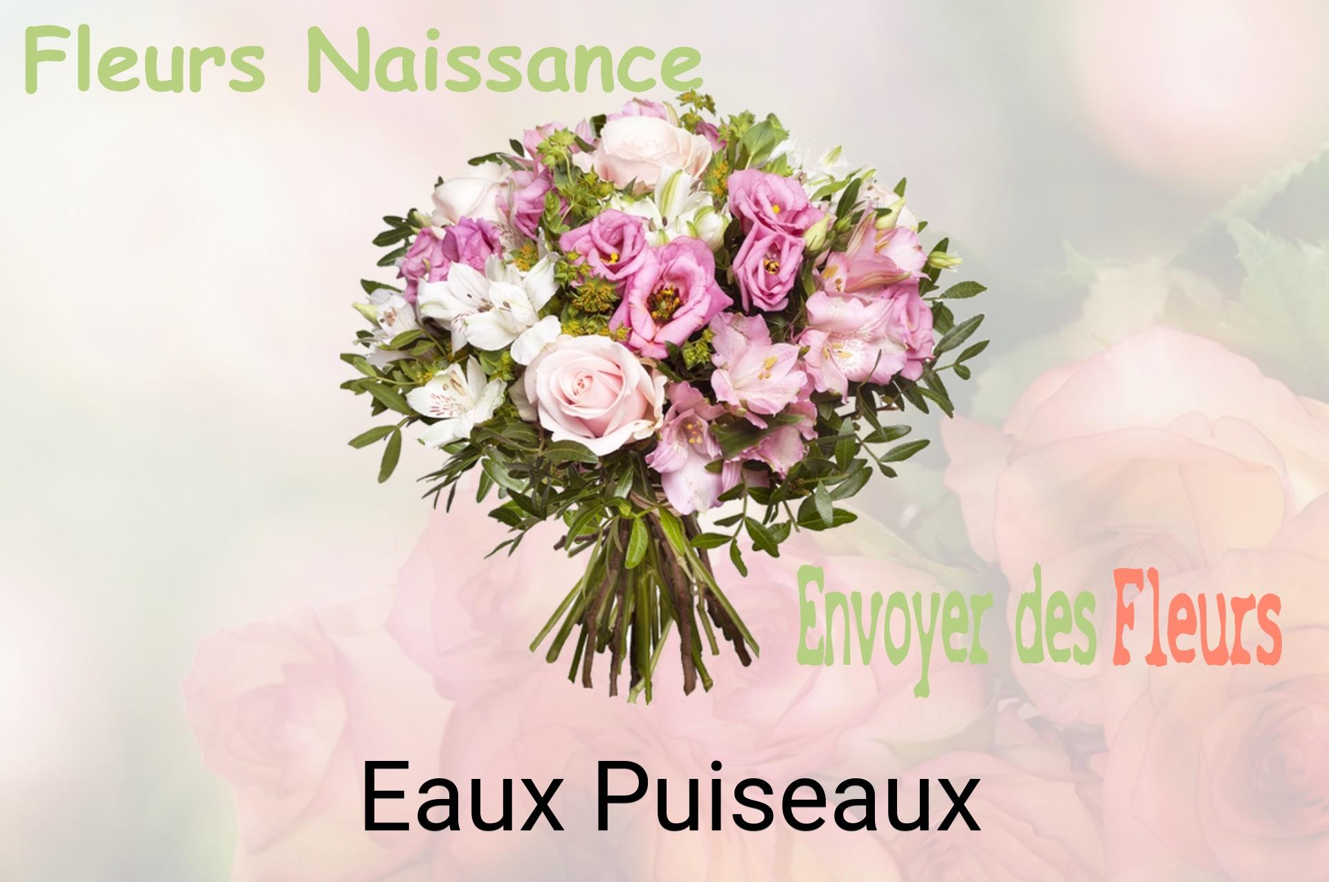 Bouquet de fleurs de naissance livré à Eaux-Puiseaux